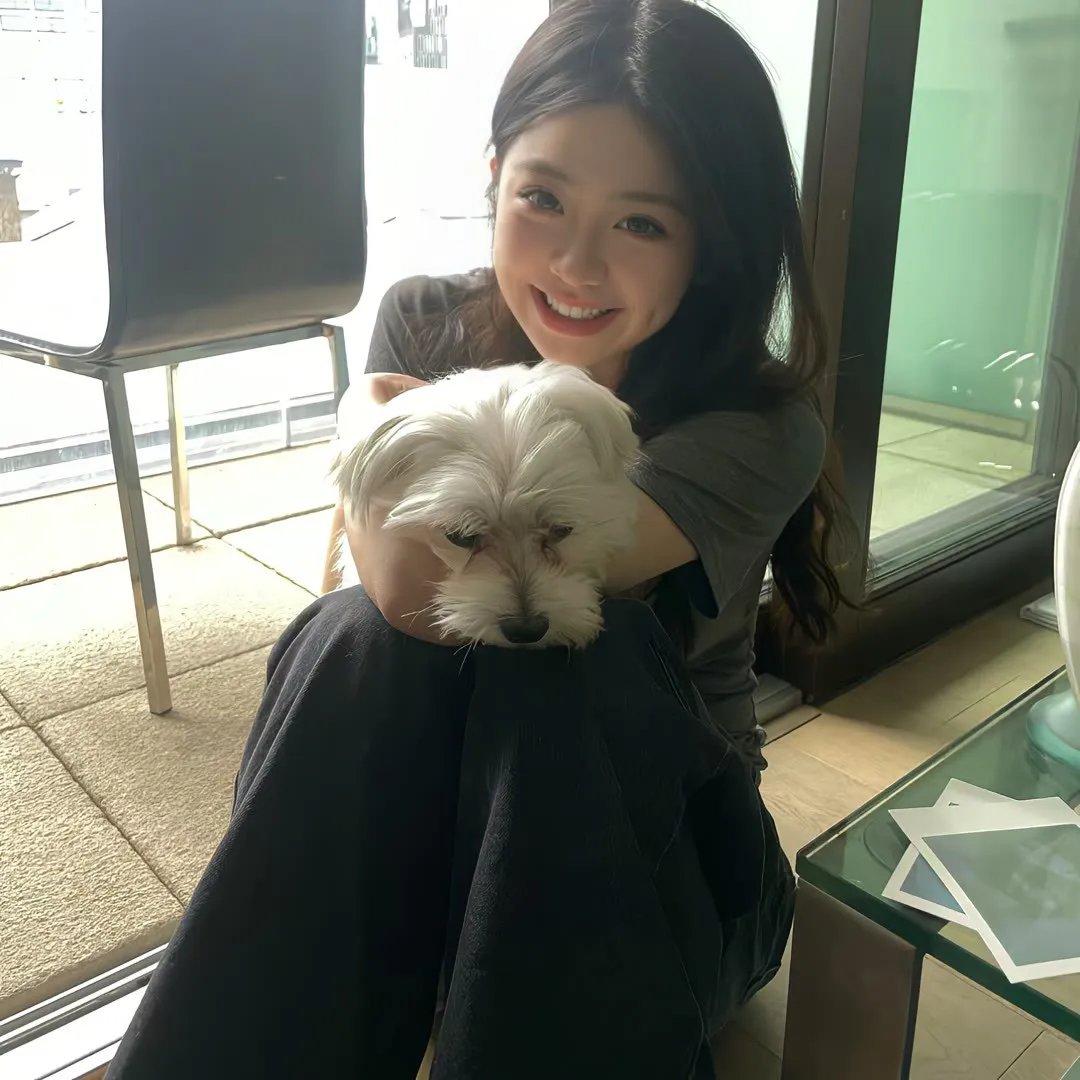 九一一事件簿